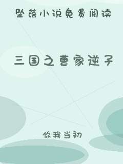 三国之曹家逆子